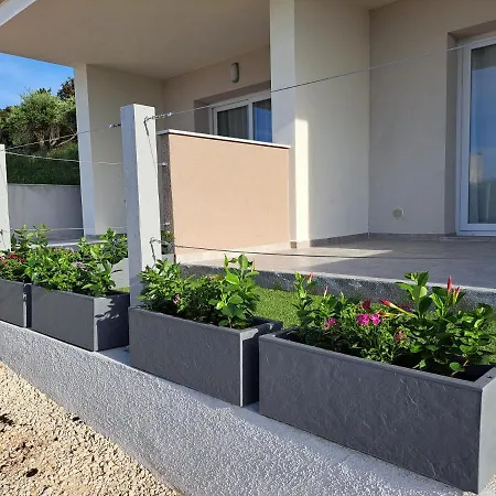 Daire Casa Alexandra *